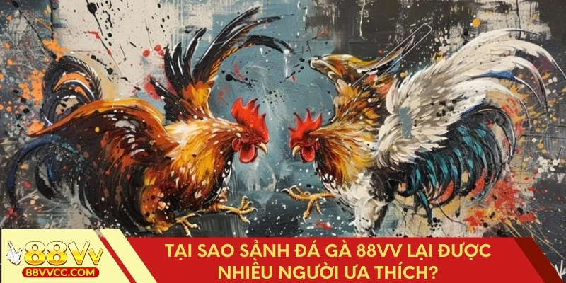 Lý do sảnh đá gà 88VV được yêu thích